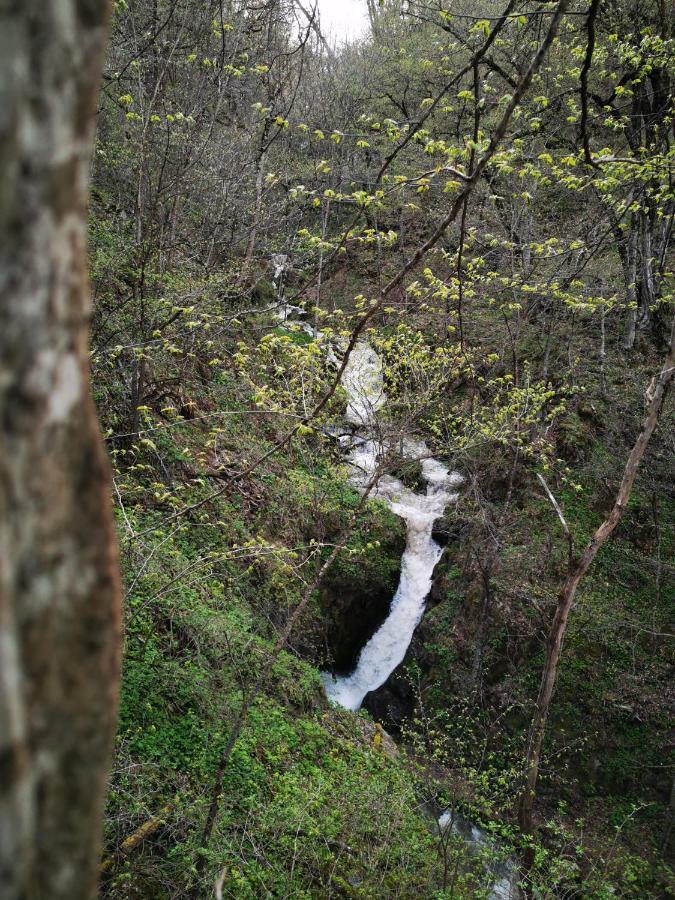 Hotel Vanatun, Haghartsin Monastery Teghut Kültér fotó